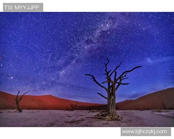 足球明星璀璨星空图谱解析：从球场英豪到世界偶像的闪耀旅程