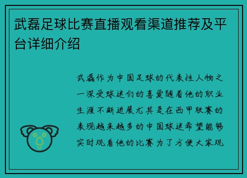 武磊足球比赛直播观看渠道推荐及平台详细介绍